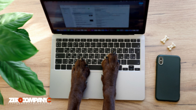 dog paws on a laptop keyboard dog typing a message