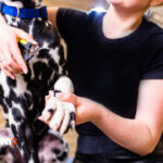 young woman cutting dog dalmatian nail